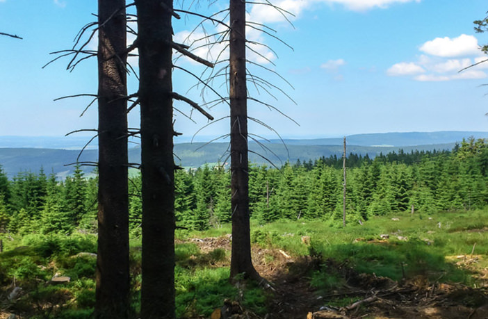 Blick ins Fichtelgebirge