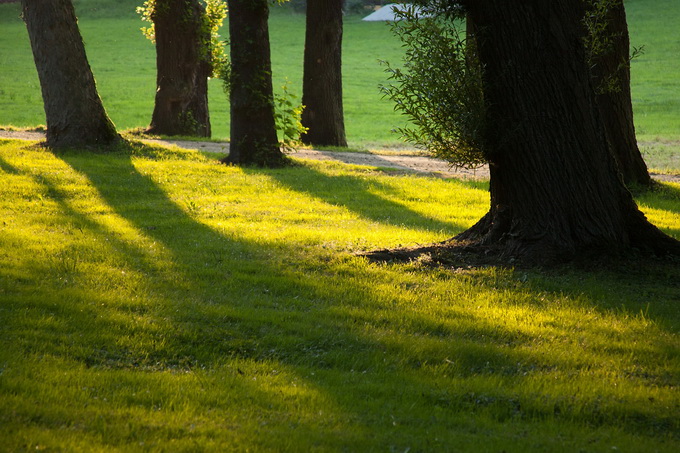 Kurpark Bad Alexandersbad